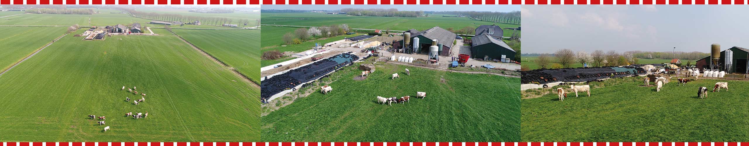 De Weidegang - IJsboerderij De Schoonheuvel - Hedel