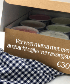 Moederdag: Verrassingsbox met 9 ambachtelijke ijsjes